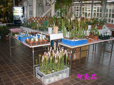 [�_��A�������u�H���A���W�v�ʐ^�P�O]