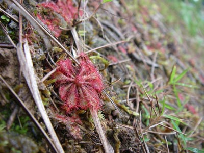 [����{���k�������n���w��ʐ^�Q]