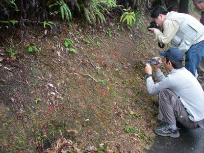 [����{���k�������n���w��ʐ^�S]