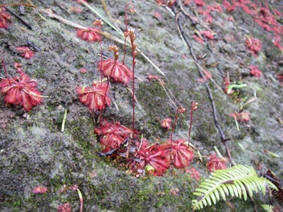 [����{���k�������n���w��ʐ^�T]