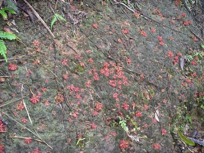 [����{���k�������n���w��ʐ^�U]