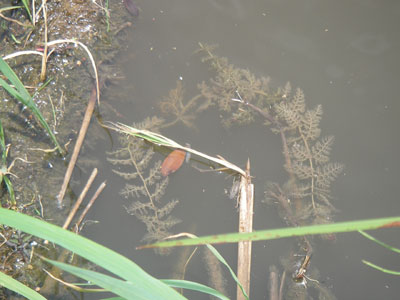 [�|��s�E�e��s�����n���w��ʐ^�P]