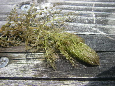 [�|��s�E�e��s�����n���w��ʐ^�Q]