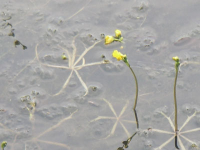 [�|��s�E�e��s�����n���w��ʐ^�R]