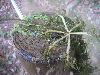 [�|��s�E�e��s�����n���w��ʐ^�S]