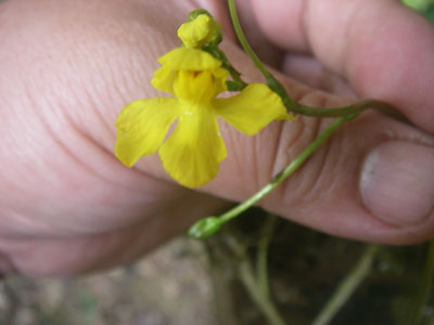 [�|��s�E�e��s�����n���w��ʐ^�T]