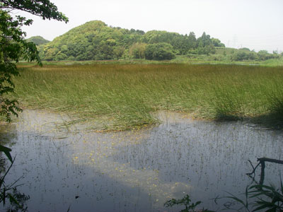 [�|��s�E�e��s�����n���w��ʐ^�V]