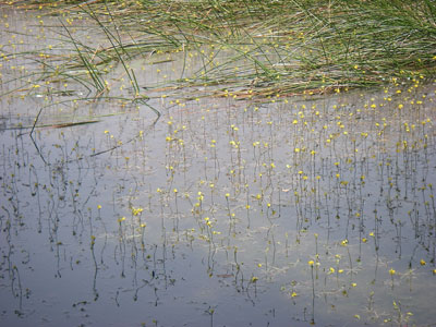 [�|��s�E�e��s�����n���w��ʐ^�W]