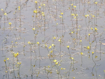 [�|��s�E�e��s�����n���w��ʐ^�X]