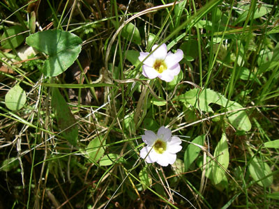 [�|��s�E�e��s�����n���w��ʐ^�P�Q]