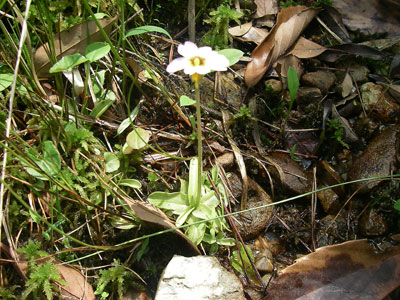 [�|��s�E�e��s�����n���w��ʐ^�P�R]