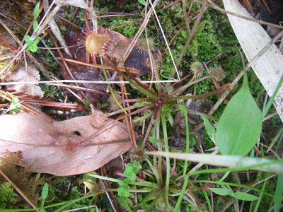 [�|��s�E�e��s�����n���w��ʐ^�P�T]