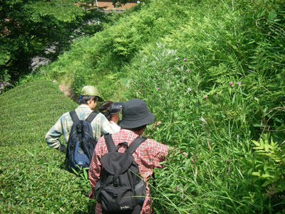 [�|��s�E�e��s�����n���w��ʐ^�P�U]