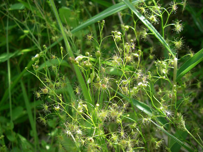 [�|��s�E�e��s�����n���w��ʐ^�P�V]