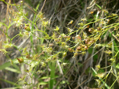 [�|��s�E�e��s�����n���w��ʐ^�P�W]