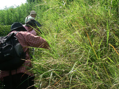 [�|��s�E�e��s�����n���w��ʐ^�P�X]