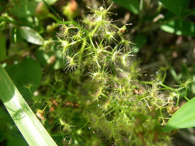 [�|��s�E�e��s�����n���w��ʐ^�Q�O]