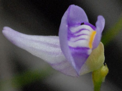 [�k�C�������n���w��ʐ^�P]