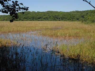 [�k�C�������n���w��ʐ^�R]