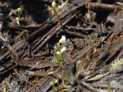 [�k�C�������n���w��ʐ^�T]