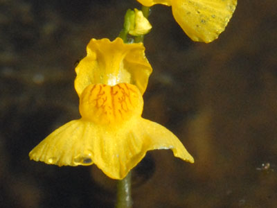 [�k�C�������n���w��ʐ^�U]