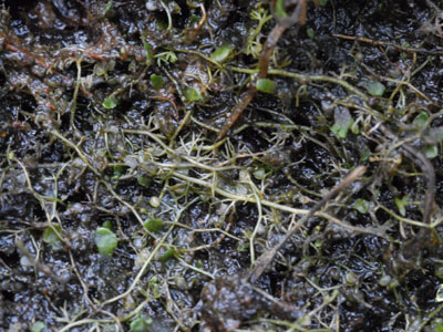 [�k�C�������n���w��ʐ^�V]