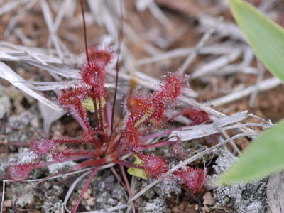 [�k�C�������n���w��ʐ^�P�O]