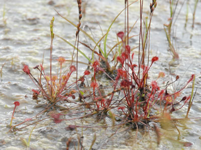 [�k�C�������n���w��ʐ^�P�Q]