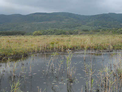 [�k�C�������n���w��ʐ^�P�R]