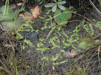 [�k�C�������n���w��ʐ^�P�S]