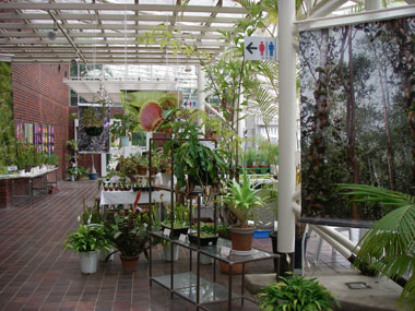 [�_��A�����ł̓W��������ʐ^�P]