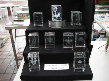 [�_��A�����ł̓W��������ʐ^�V]