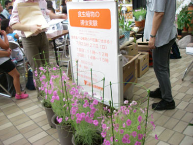 [���̓��u�H���A���ߒ����������v�ʐ^�P]