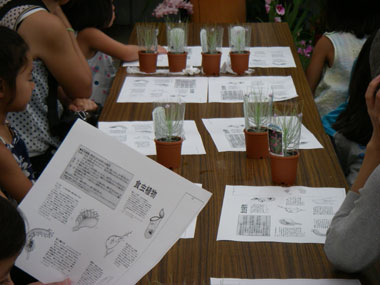 [���̓��u�H���A���ߒ����������v�ʐ^�U]