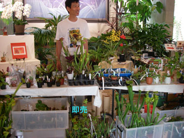 [[���̓��u�H���A���ߒ����������v�ʐ^�X]