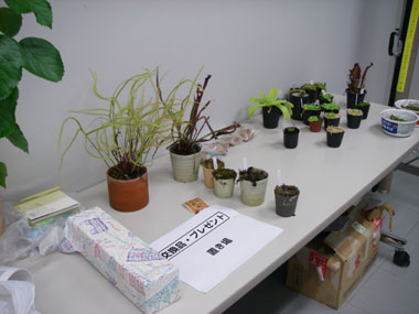 [�n���U�O���N�L�O�̐V�N��Ǝ��܎��ʐ^�Q]