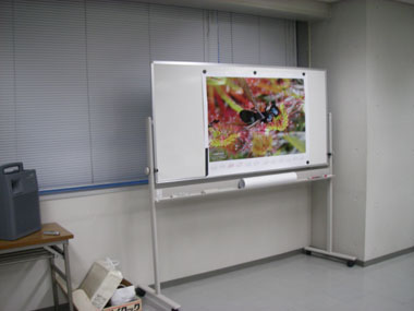 [�n���U�O���N�L�O�̐V�N��Ǝ��܎��ʐ^�R]