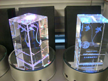 [�n���U�O���N�L�O�̐V�N��Ǝ��܎��ʐ^�S]