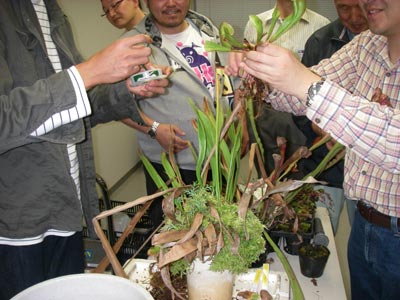 [�H�̗��2009-�W]