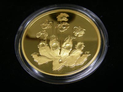 [�H�̗��2009-�X]