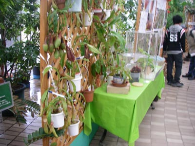 [���̓��M�ѐA���ِH���A���W�Q]