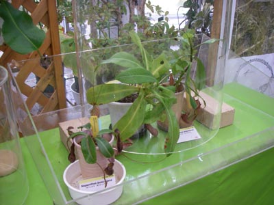 [���̓��M�ѐA���ِH���A���W�S]