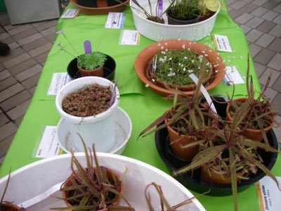 [���̓��M�ѐA���ِH���A���W�T]