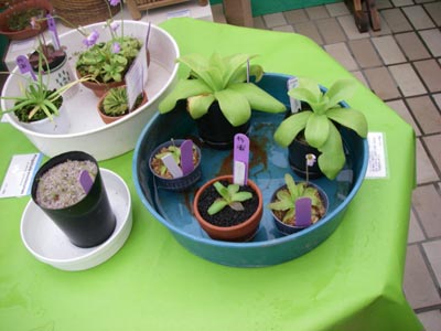 [���̓��M�ѐA���ِH���A���W�U]