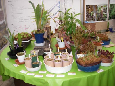 [���̓��M�ѐA���ِH���A���W�W]