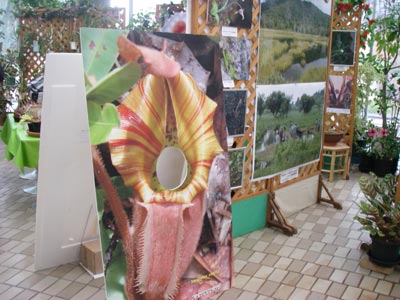 [���̓��M�ѐA���ِH���A���W�P�O]