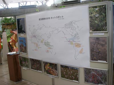 [���̓��M�ѐA���ِH���A���W�P�P]