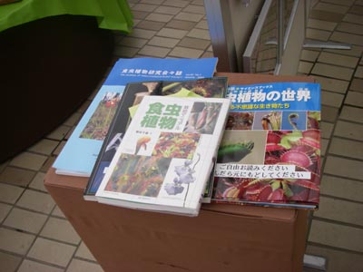 [���̓��M�ѐA���ِH���A���W�P�Q]