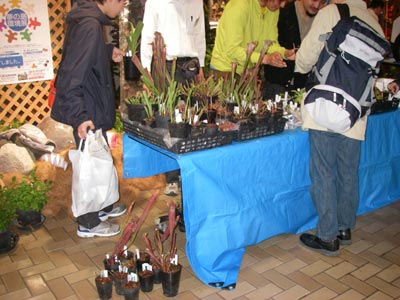 [���̓��M�ѐA���ِH���A���W�P�V]