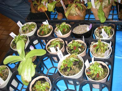 [���̓��M�ѐA���ِH���A���W�Q�O]